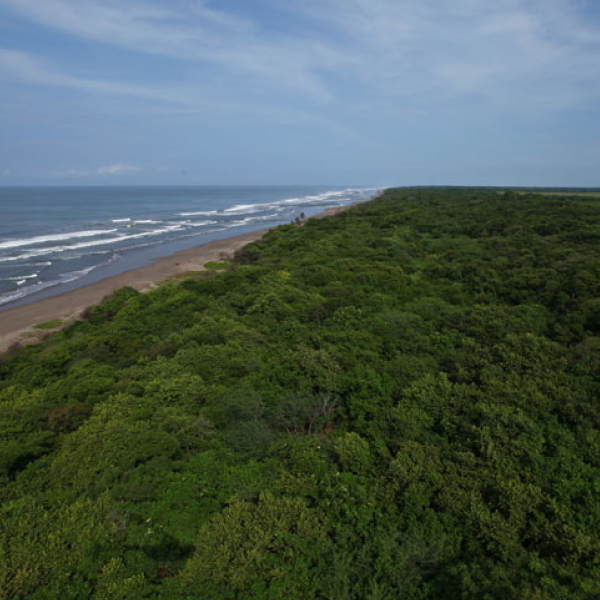 Laya Resort Aerial Central Ocean View