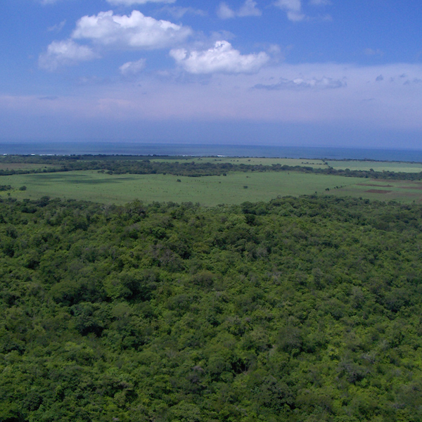 Laya Resort Aerial Long Ocean View