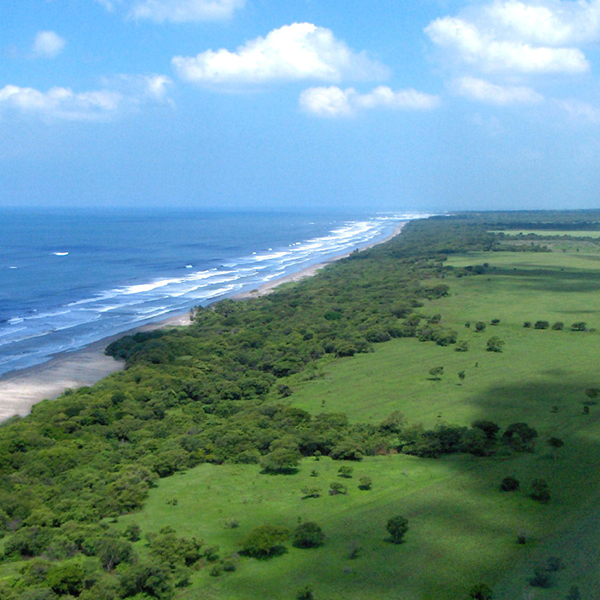 Laya Resort Aerial View North