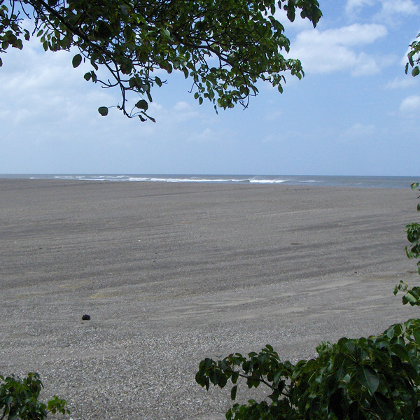 Laya Resort Beach Fronting Nature Reserve