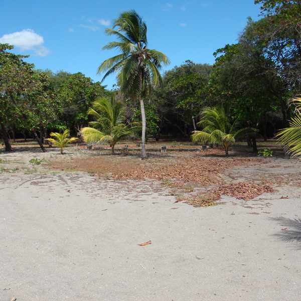 Laya Resort Beachfront Founders Lodge