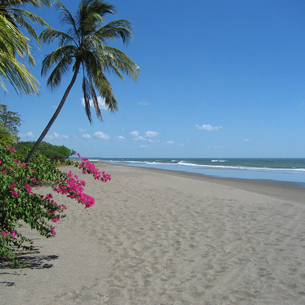 Laya Resort Beachfront Home Site South View