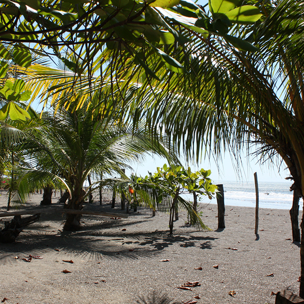 Laya Resort Beachfront Home Site View