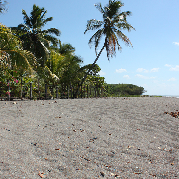 Laya Resort Beachfront Home Site Walk-Up