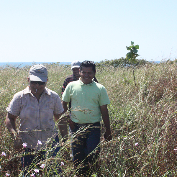 Laya Resort Beachfront Lot Inspection Visit