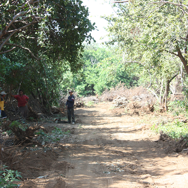 Laya Resort Beachfront Neighborhood Site Clearing