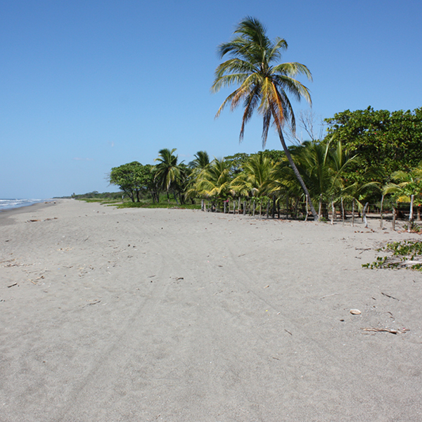 Laya Resort Beachfront North View II