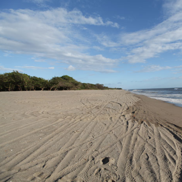 Laya Resort Beachfront North View