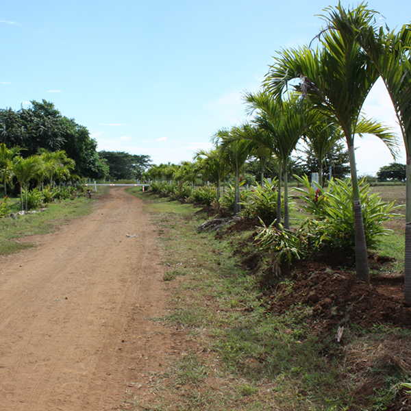 Laya Resort Entrance Area