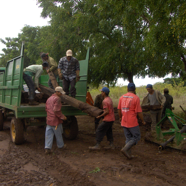 Laya Resort Excavating