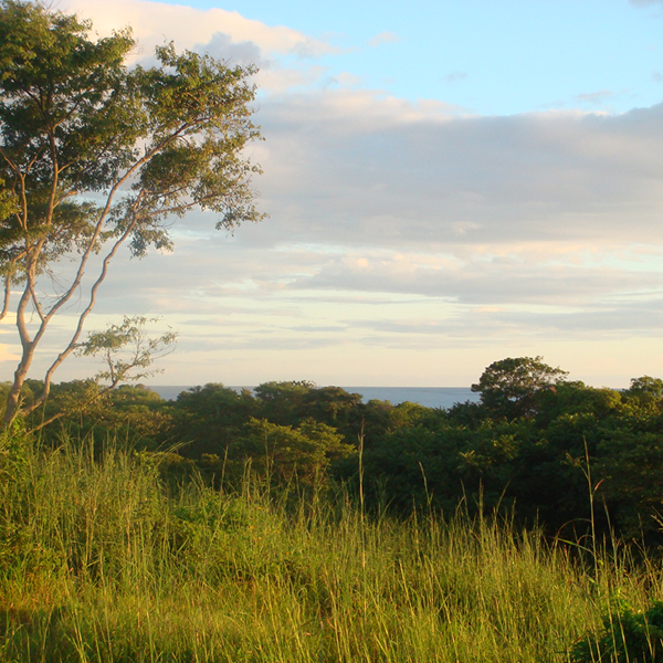 Laya Resort Founders Lodge Ocean View