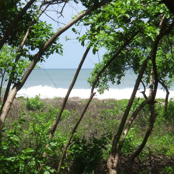 Laya Resort Home Site Beachfront Landscape