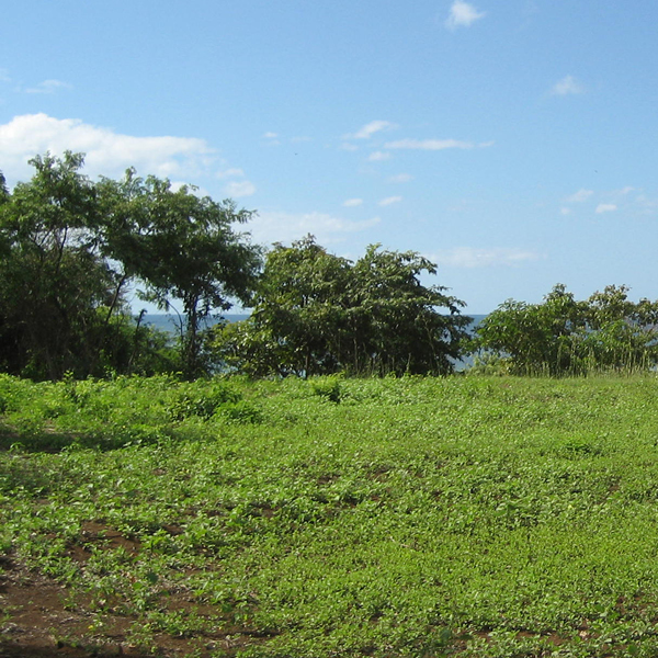 Laya Resort Home Site Elevated Ocean View