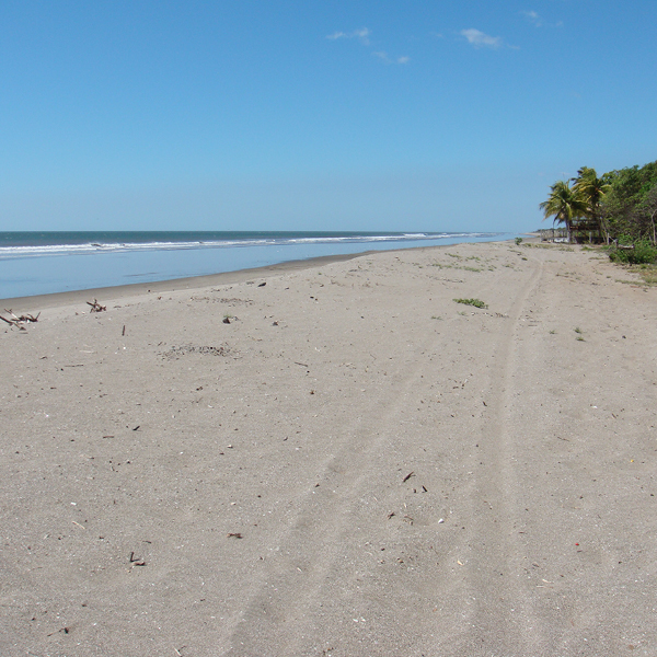 Laya Resort Hotel Beachfront North View Low Tide