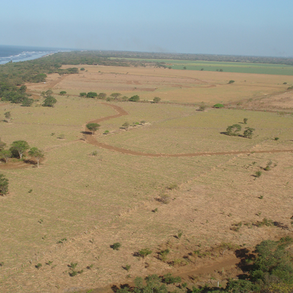 Laya Resort Initial Grading to South Side