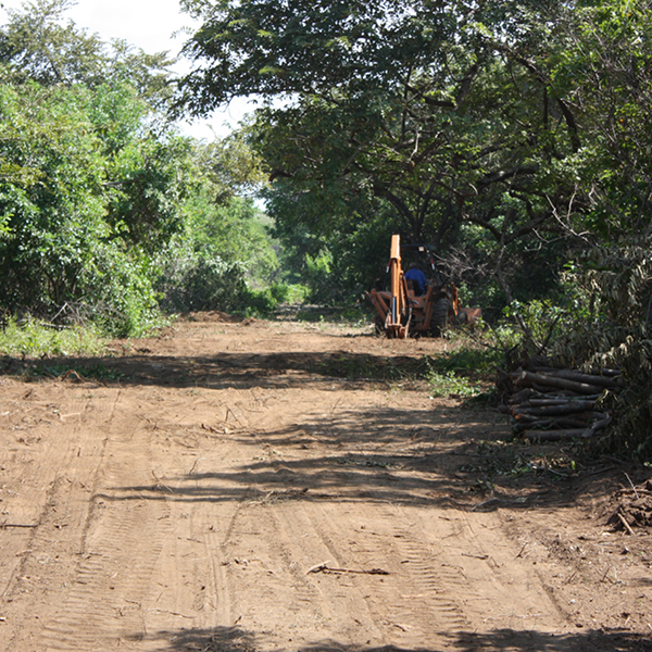 Laya Resort Initial Road Grading to Beachfront Home Sites