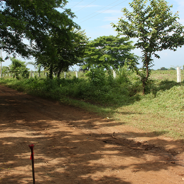 Laya Resort Lot Staking at Entrance