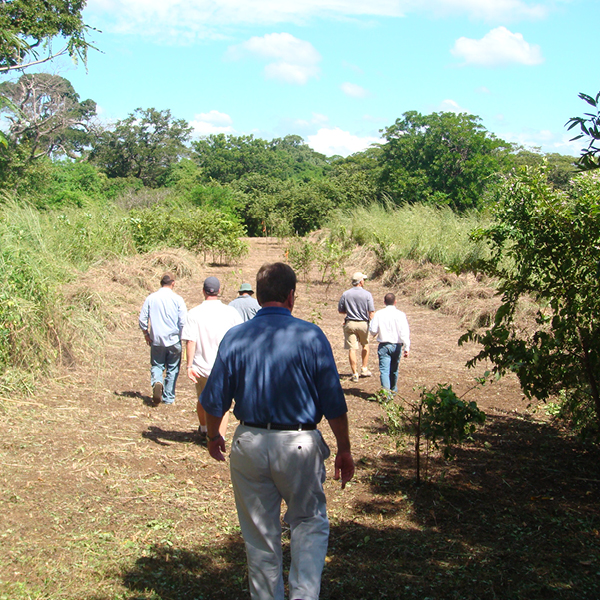 Laya Resort Lot Staking at Inland