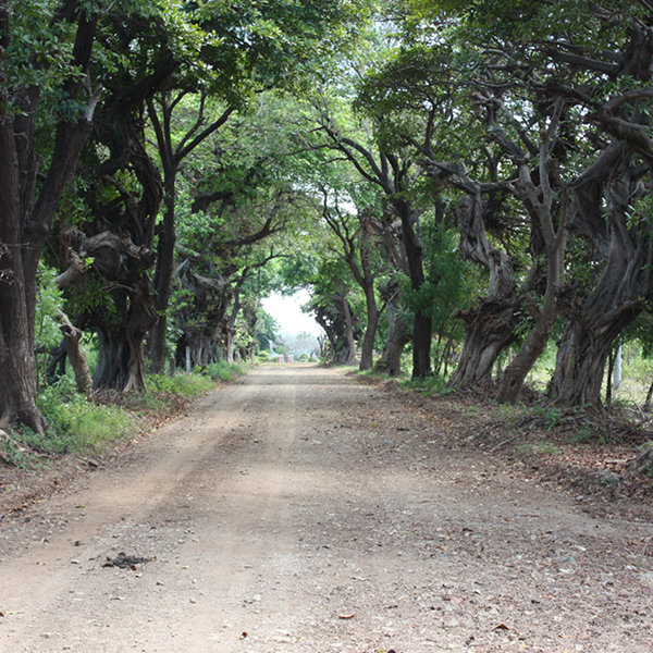 Laya Resort Right Turn to Loma Agegre