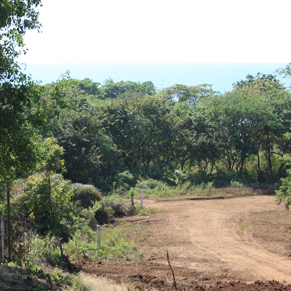 Laya Resort Road to Hotel Entrance