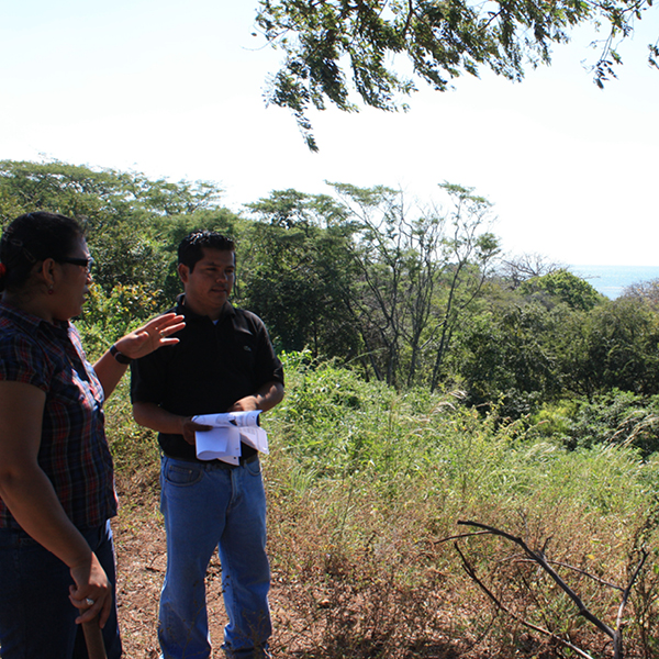 Laya Resort Site Inspection