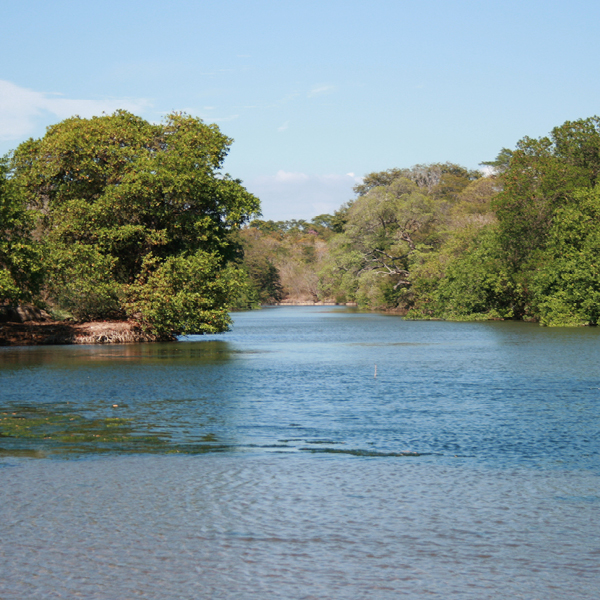 Laya Resort Tecolapa River