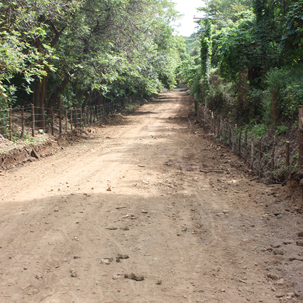 Laya Resort Temporary Road Access to Mountain Side Improved