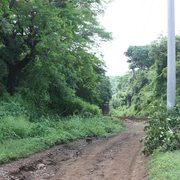 Laya Resort Temporary Road Access to Mountain Side