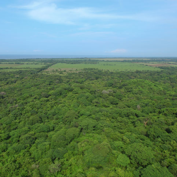 Laya Resort Trail System Long Ocean View