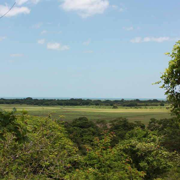 Laya Resort Trail System Ocean View II